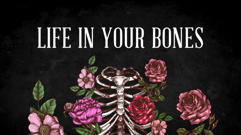 Life in Your Bones